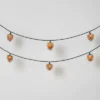 10ct Christmas LED String Lights With Sugared Pine Cones Warm White GW - Wondershop™