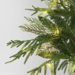 24" Pre-Lit Christmas Norfolk Cedar Artificial Greenery With Ground Stake - Wondershop™ 6 24" Pre-Lit Christmas Norfolk Cedar Artificial Greenery With Ground Stake - Wondershop™ -Christmas Lights GUEST 517b159a ab98 4251 ad4a 9a78c2d8852a