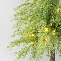 Pre-Lit Potted Balsam Artificial Christmas Tree - Wondershop™ -Christmas Lights GUEST 5d9ddf88 42c8 4d7d 88ad 8a538f9a5403